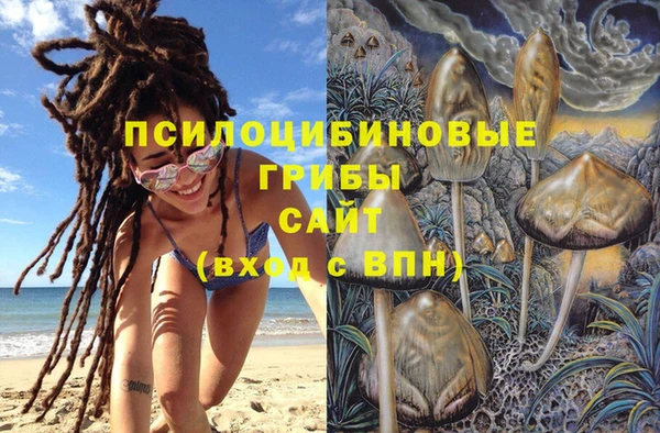 ешки Бородино