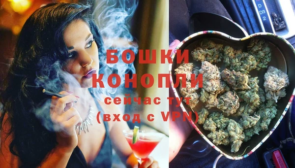 ешки Бородино