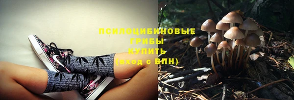 ешки Бородино