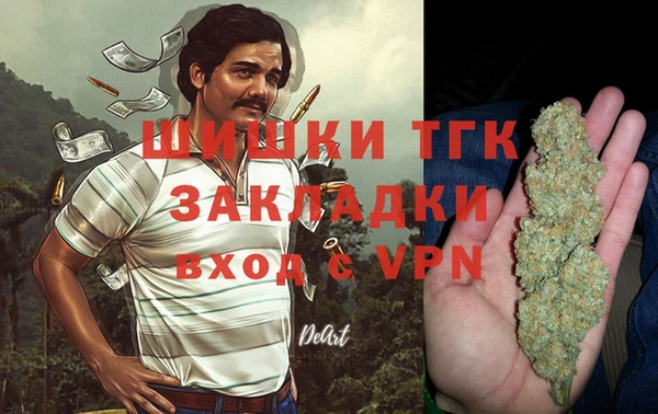 хмурый Бронницы