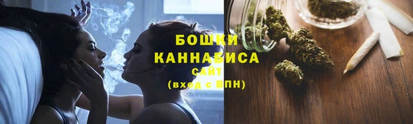 хмурый Бронницы