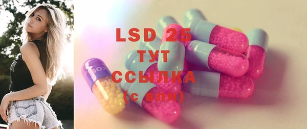 ешки Бородино