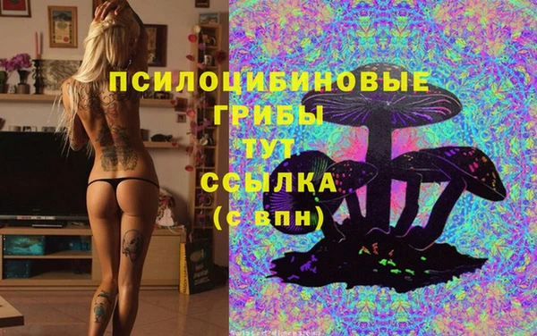 хмурый Бронницы