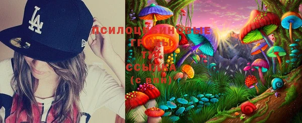 ешки Бородино