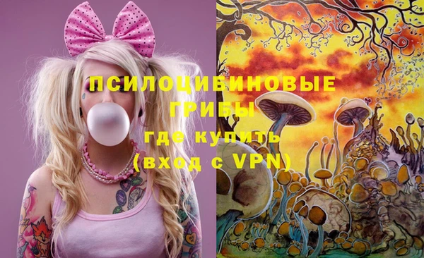 ешки Бородино