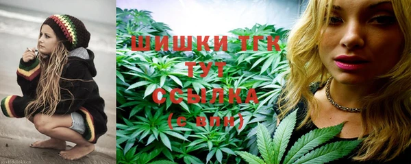 хмурый Бронницы