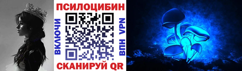 Псилоцибиновые грибы Psilocybe  Новоузенск 